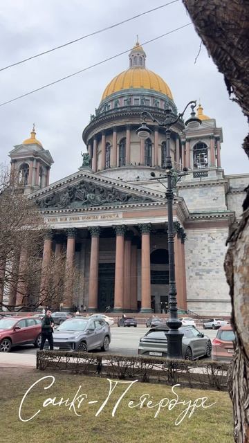 Идем на экскурсии вместе со ⚜️Светским Петербургом.Афиша экскурсий в тг канале Светский Петербург
