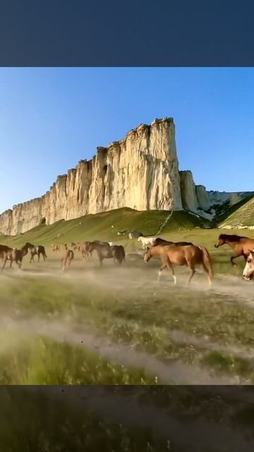 Белая Скала ❤️