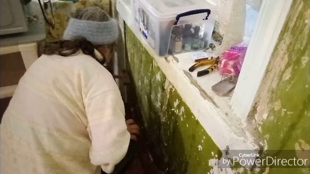 Ремонт комнаты / Огурцы / Пряники.