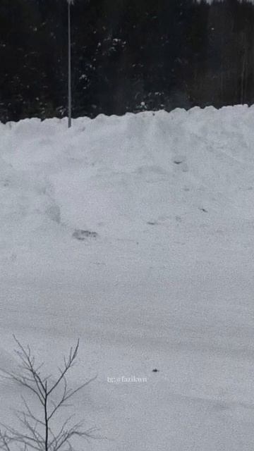 Какие были сугробы 3 недели назад 🤔, а сейчас нет так совсем уже 😊