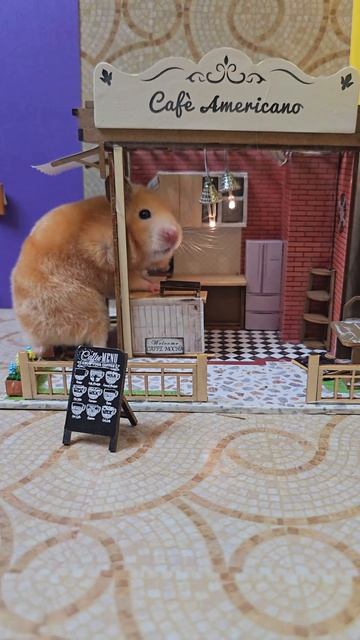 Хомяку захотелось ☕️ кофе