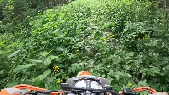 Прохват на квадроциклах ODES 1000, Stels Guepard 800, мотоцикл Racer Panther 300