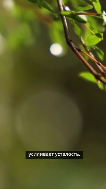 Чувство вины за отдых #отдыхбезвины #выгорание #психологиябаланса