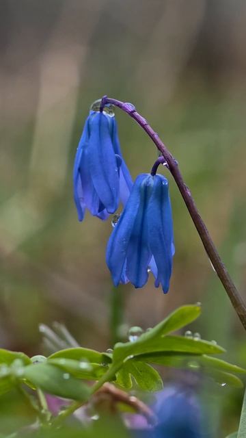 0dfdd046a2f78cec1b43c3d2774c7366