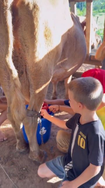 Настоящее, не фильтрованное 🥛