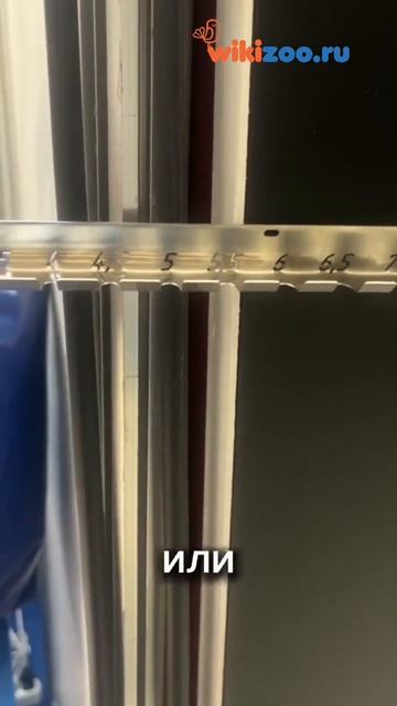 Кронштейн для эндотрахеальных трубок