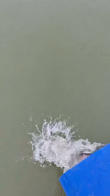 запуск10.04.mp4