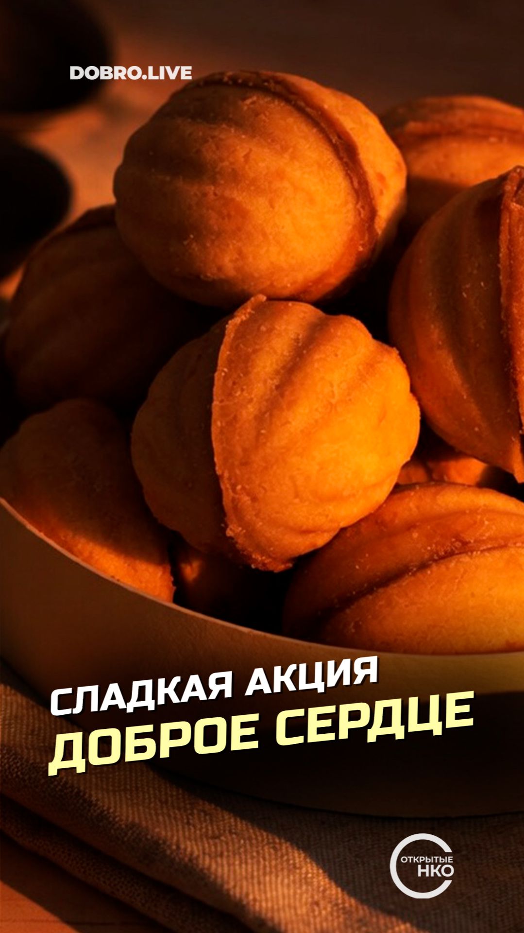 «Не простые орешки»: в Санкт-Петербурге запустили акцию в поддержку детей с тяжелыми диагнозами