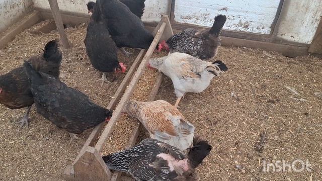 8ddfc7e2bd7ad22d2063a5be75202c72