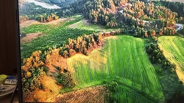 Блогодавилка- с туповатым английским акцентом