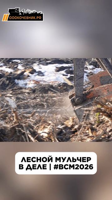 Лесной мульчер в деле