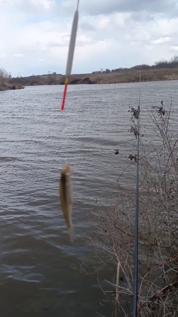 Открыл сезон🤣🤣🤣🤣🤣🤣🤣