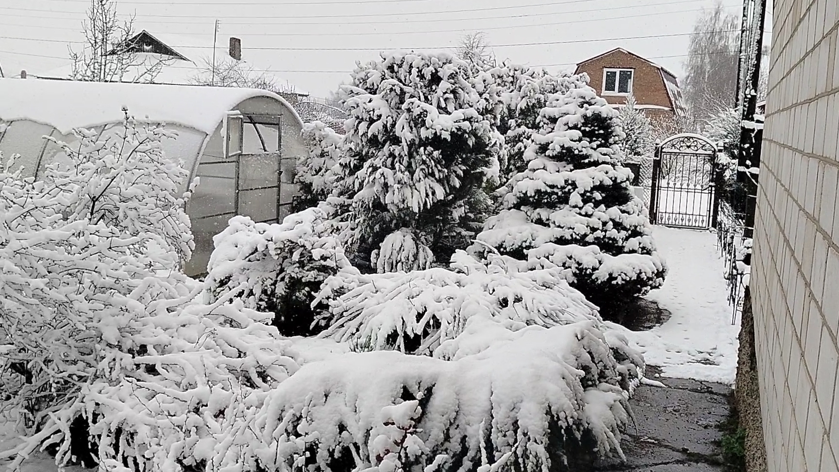 К НАМ ВЕРНУЛАСЬ ЗИМА В АПРЕЛЕ.10.04.26.ОБЗОР РАССАДЫ.