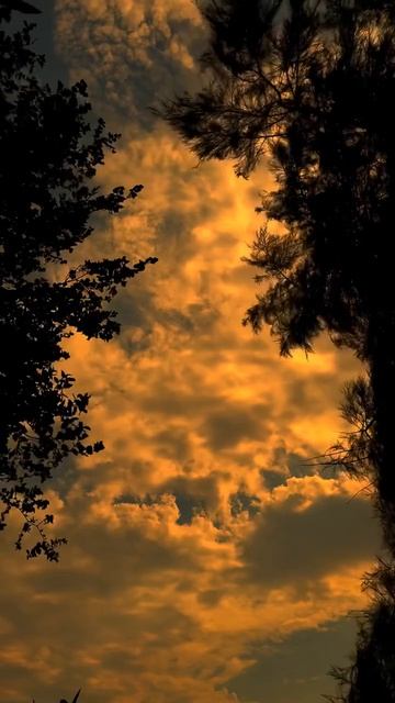 НАДО ЖИТЬ СЕБЕ ПОМАЛЕНЬКУ.НЕМНОЖКО СЕГОДНЯ,НЕМНОЖКО ЗАВТРА- И ТАК ДАЛЕЕ...