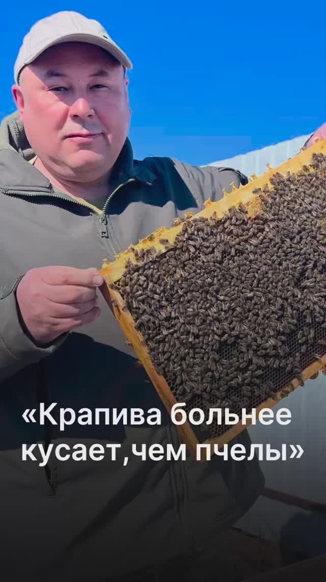«Они меня постоянно кусают»