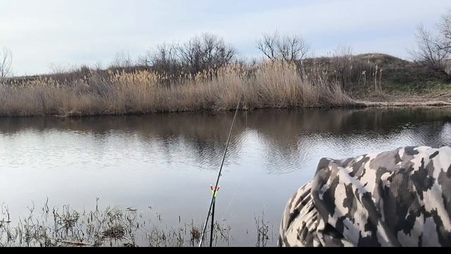 Рыбалка на фидер на реке Карповка.