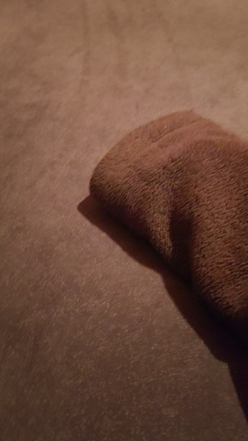 ручной. цыплёнок