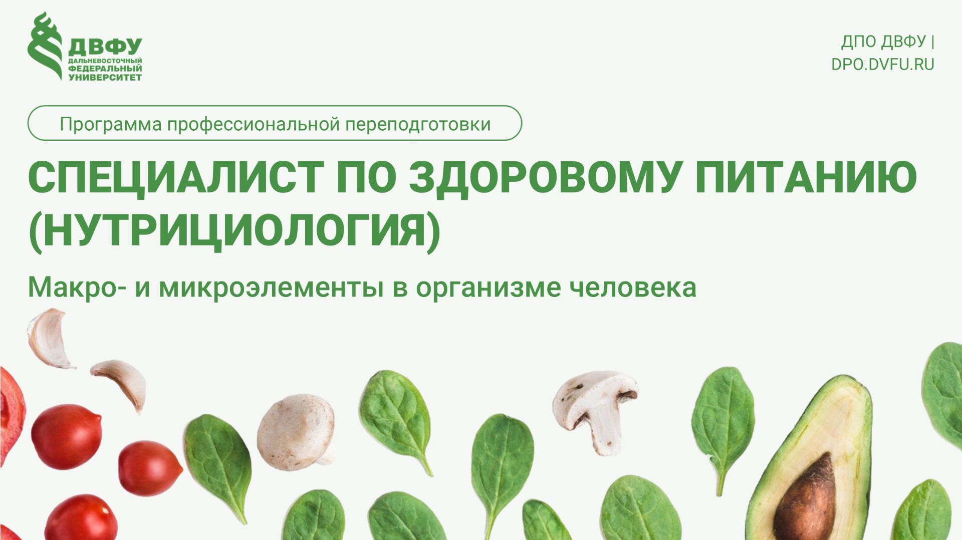 3.2.2 Макро- и микроэлементы Другова