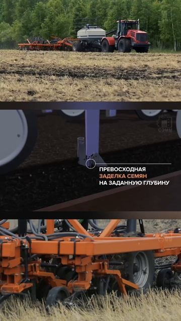 Как сохранить влагу при посеве?