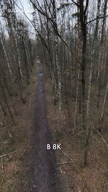 Какие возможности дает 360-камера в новом дроне DJI Avata 360?