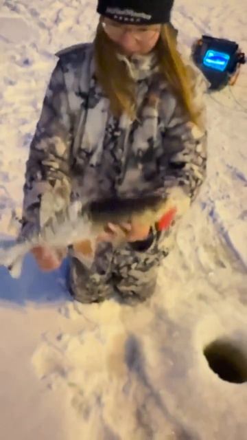 Видео от За Трофеем: Охота и Рыбалка