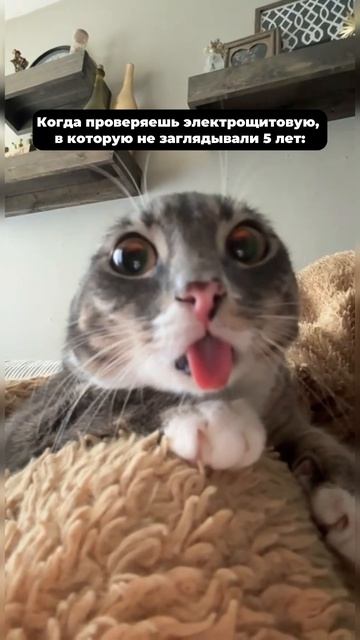 Электрики поймут😀