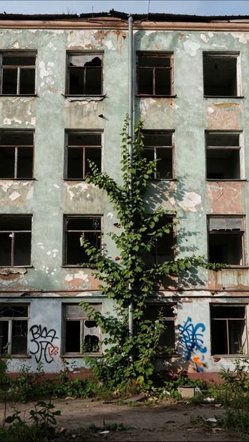 Заброшенное здание: природа овладевает городом #заброшенные #снаружи #природа