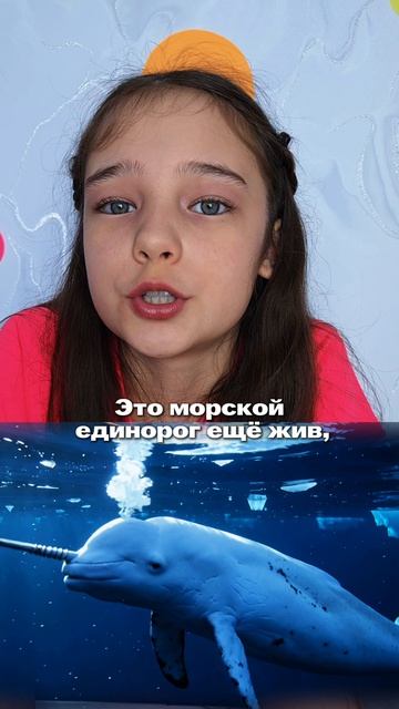 Животное, которое мы потеряли