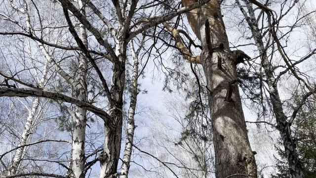 Весна в Сибири