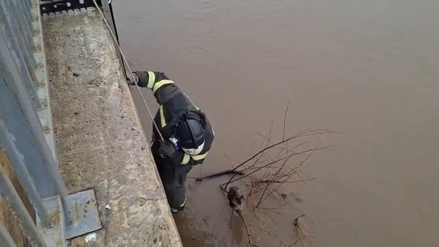 Балтачта тозакка эләккән песине коткардылар