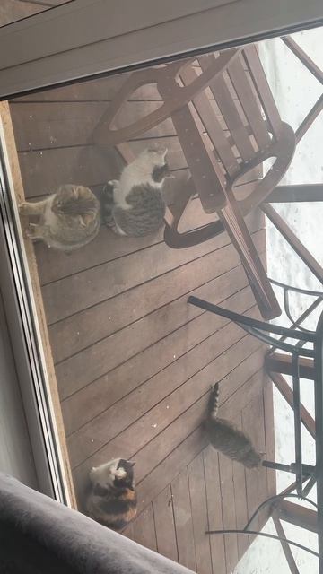 20.02.26 было снято)было загружено в рутуб 10.04.26