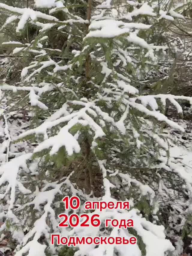 10 апреля 2026 года