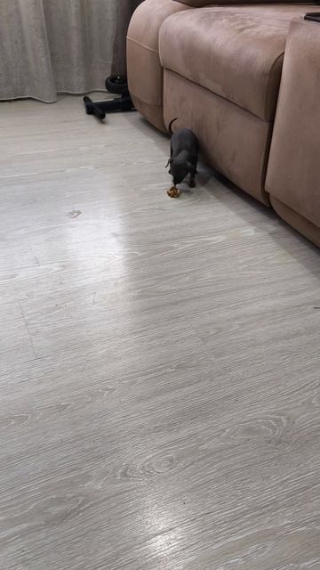 Наши малыши впервые пробуют шашлычок