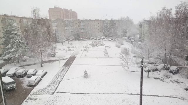 Зима вернулась на денёк