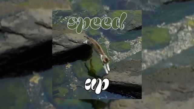 рандомные песни с тик-ток ( Speed Up )