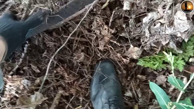 Находки с этой посадки радуют.