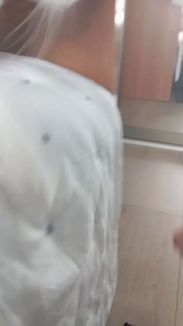 B1cf9c973da2a9beb7ee929d9d18365b