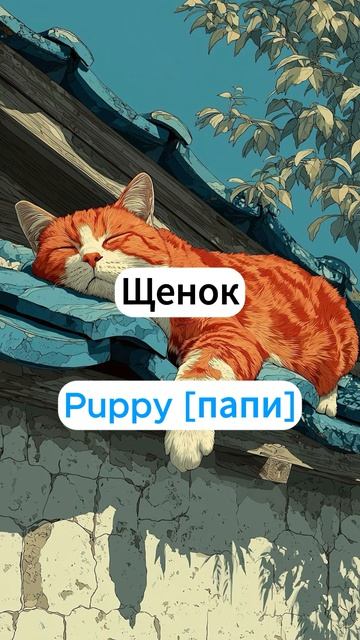 20 слов про любимых животных за 60 секунд 🐾