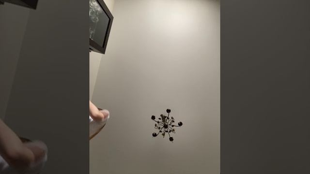 79751453727__EE4B32E2-D7DC-4BA6-A952-ECDE0A209668