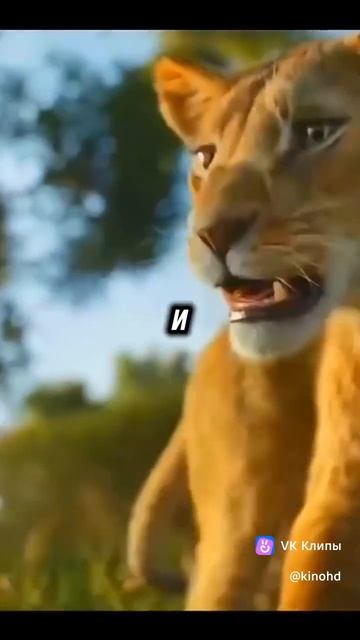 C57bd616d2d4ab73f88729fb326768fd