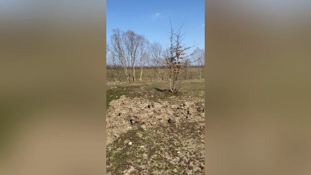 video-output-CC22FA20-FB5E-4F2C-B3C3-46E6A51A74A0-1