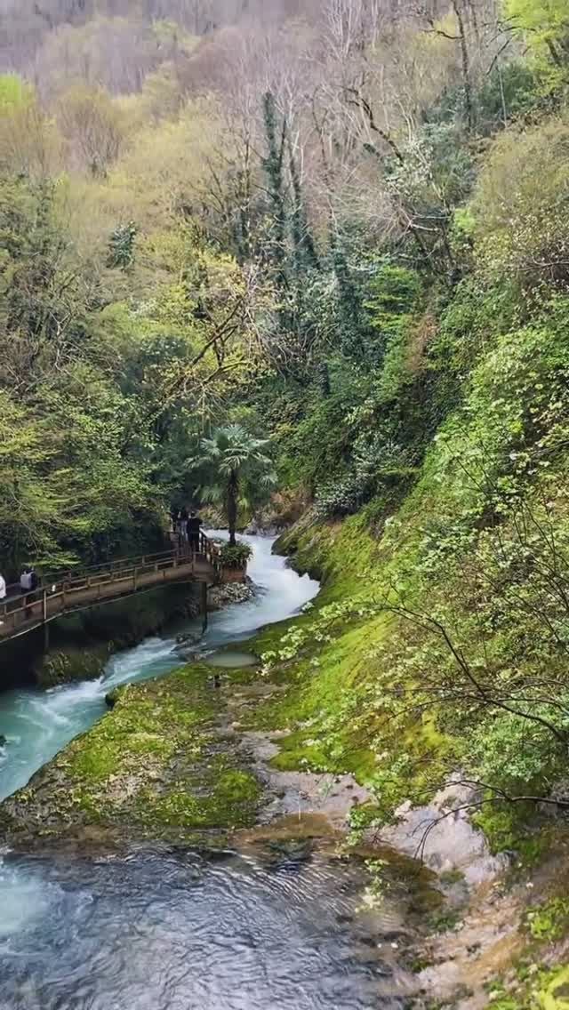 Абхазия, погода и атмосфера сегодня в ущелье Черниговка (10 апреля, ВЕСНА-2026)