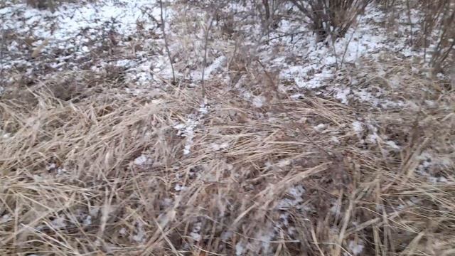 ВОТ ЭТО КЛЁВ КАРАСЬ ЖЕСТЬ