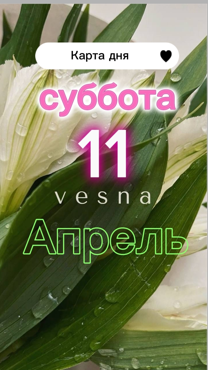 🗡Рыцарь мечей🗡Карта дня на 11-04-2026. Суббота