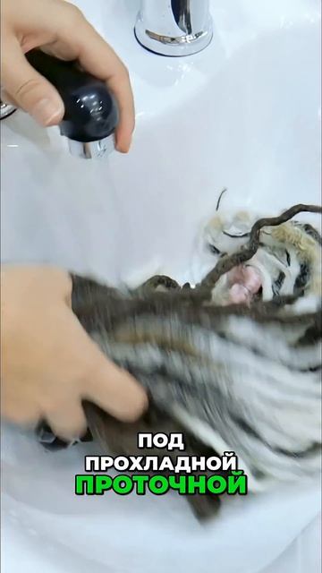 3 этапа очистки комплектов. Расскажем подробно о каждом из них. Полное видео смотри на ютуб канале