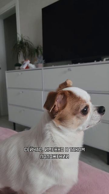 Проверенные фонды в Комментариях!🙏