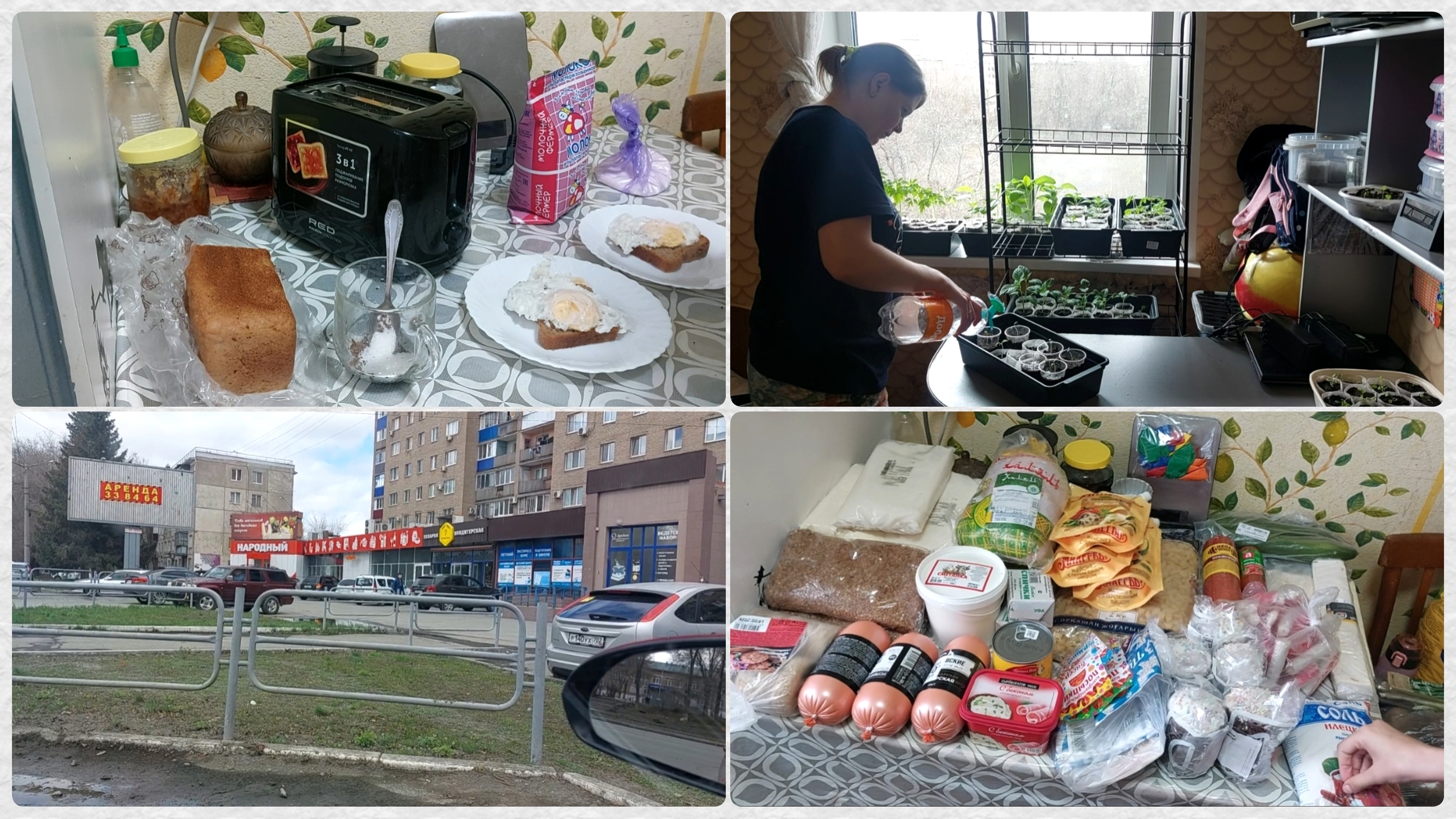 Большая закупка продуктов 🔥 Поставила стеллаж для рассады. Насыщенный денёк