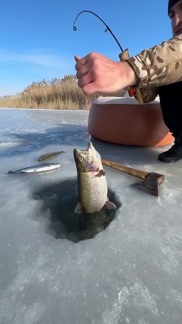 рыбалка