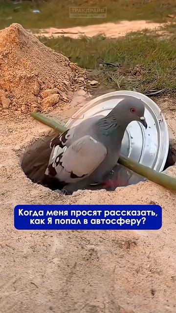 Оп, и всё! Так и попадают! #автозапчасти #грузовик #дальнобойщик
