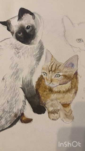 Второй котик- рыжий котёнок !!!